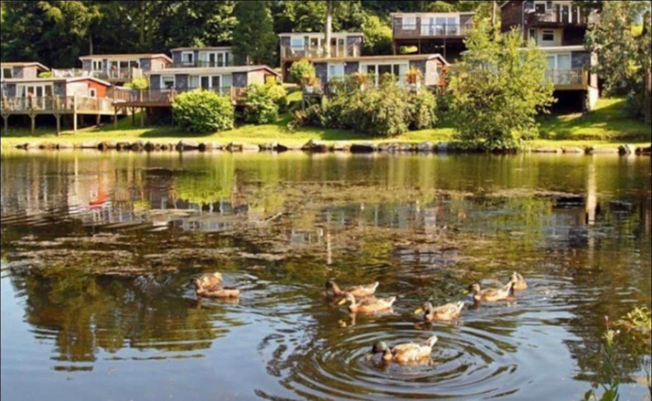 18 River View Chalet-Glan Gwna Holiday Park Caernarfon Bagian luar foto